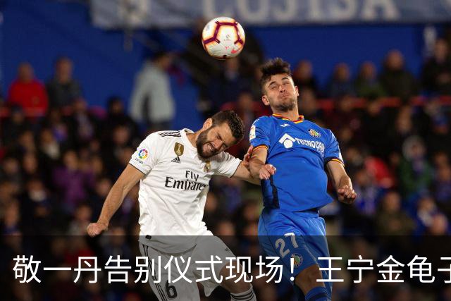 敬一丹告别仪式现场！王宁金龟子现身送别，多位主持人忍不住哭泣